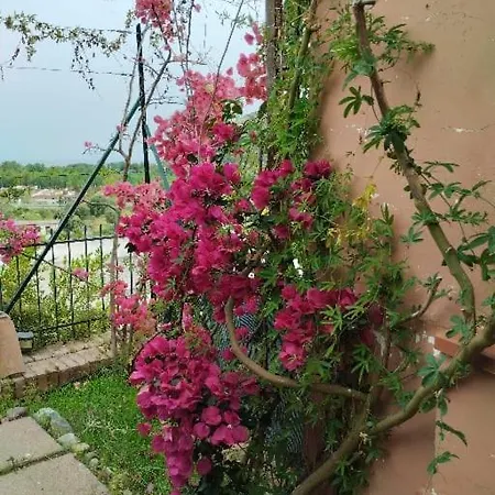 Residenza Arco Appartement Palinuro